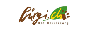 Bürgi.ch AG